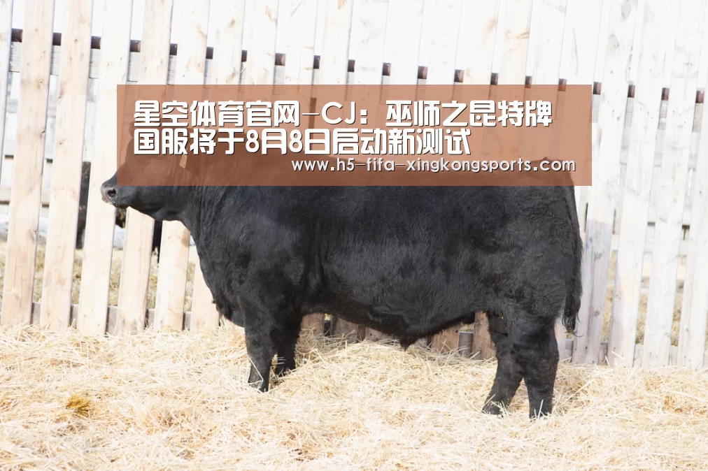 星空体育官网-CJ:巫师之昆特牌国服将于8月8日启动新测试(图2) 星空体育网页版