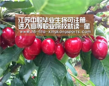 星空体育官网