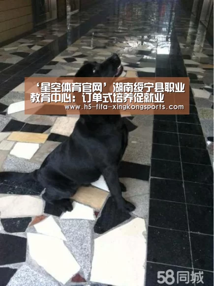 ‘星空体育官网’湖南绥宁县职业教育中心:订单式培养促就业(图1) 星空体育网站