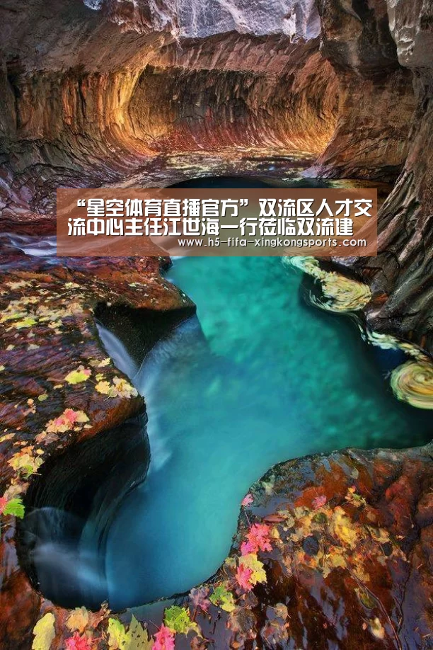 星空体育直播官方
